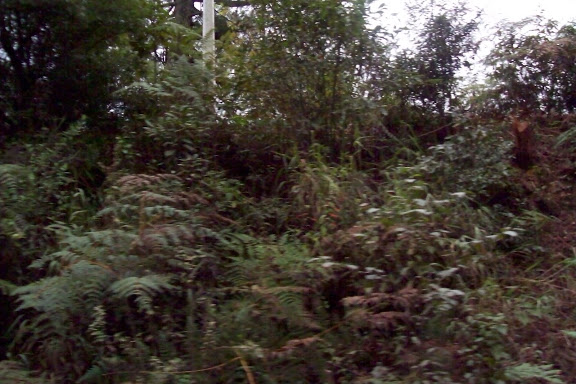 Imagen%20083.jpg