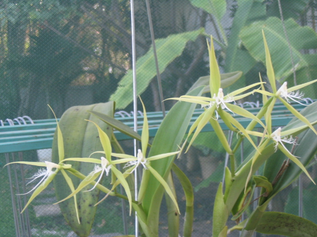 Imagen%20098.jpg
