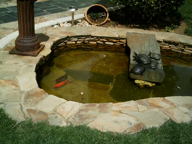 Imagen%20099.jpg