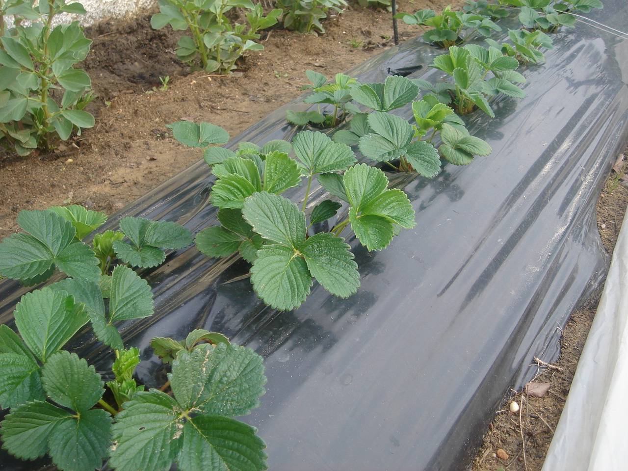 Imagen%20103.jpg