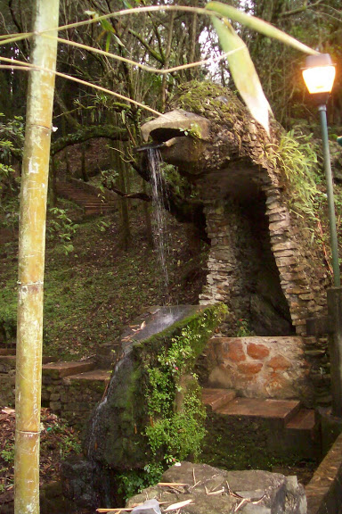 Imagen%20105.jpg