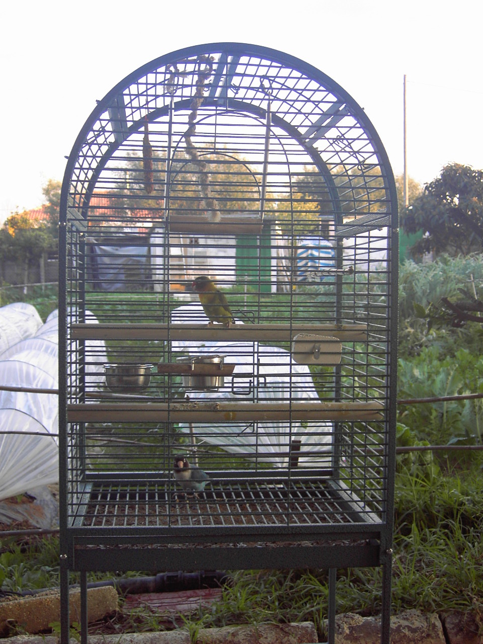 Imagen%20107.jpg