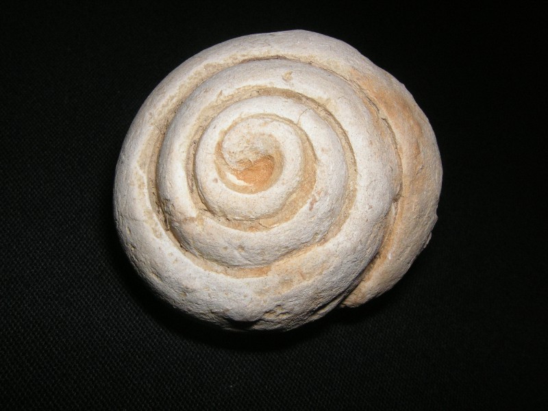 Imagen%20120%7E0.jpg