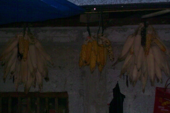 Imagen%20127.jpg
