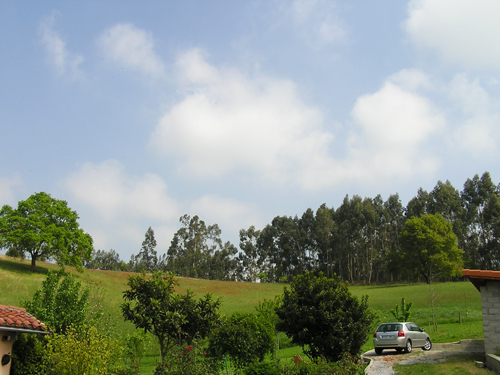 Imagen%20132.jpg