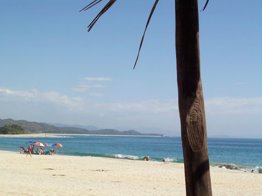 Imagen%20315.jpg