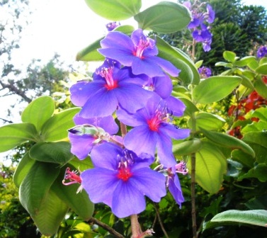 Imagen%20934.jpg