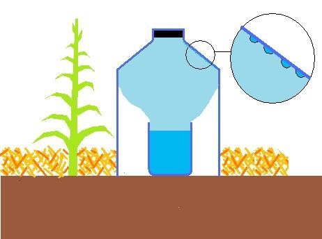 IMAGEN%20AGUA%20EVAPORANDOSE.jpg