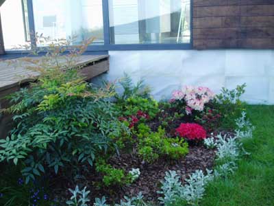 Imagen%20nandina%20y%20azaleas%7E0.jpg