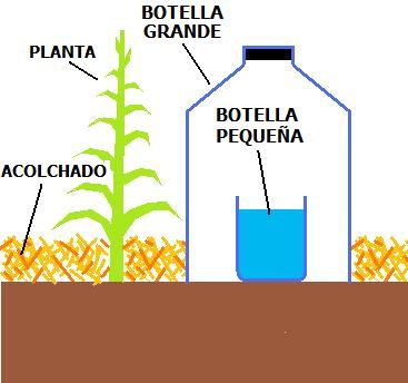 IMAGEN%20PLANTILLA%20CON%20NOMBRES.jpg