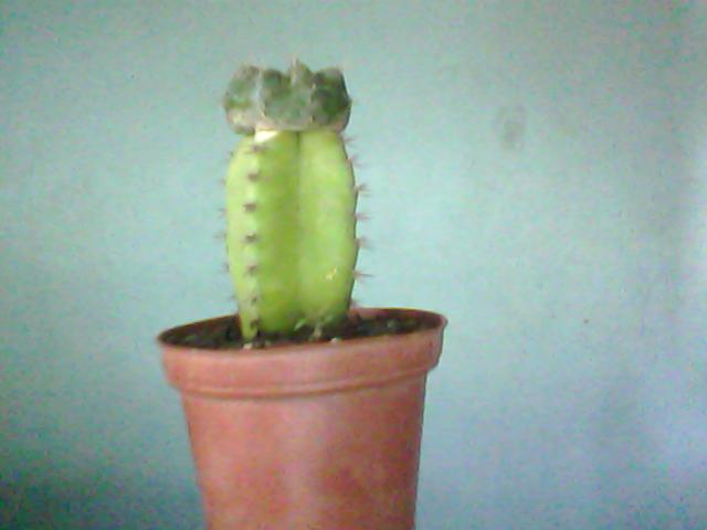 Imagen%2520003.jpg
