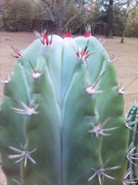 Imagen%2840%29.jpg
