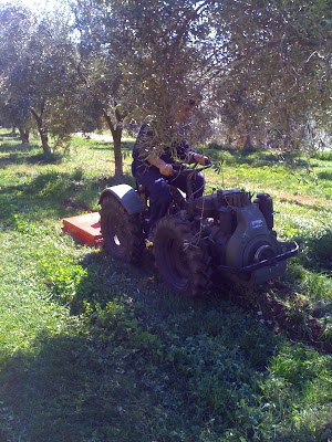 Imagen%2B090.jpg