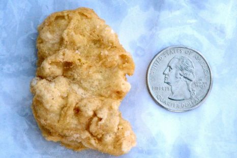 Imagen-3.-Nugget.jpg