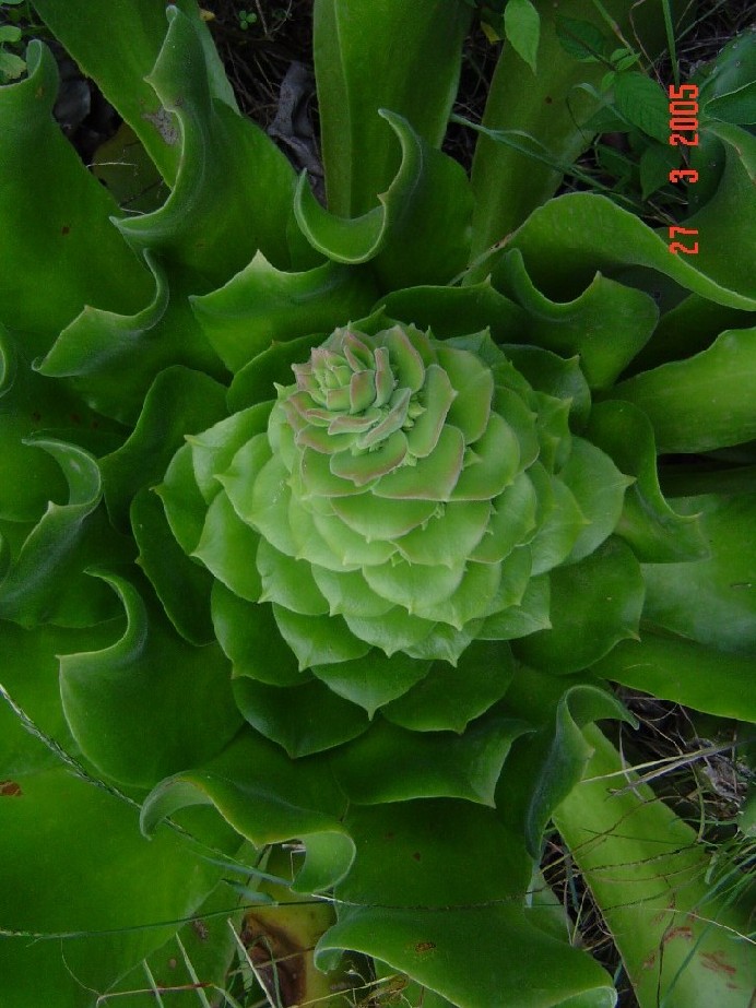 Imagen 3212.jpg