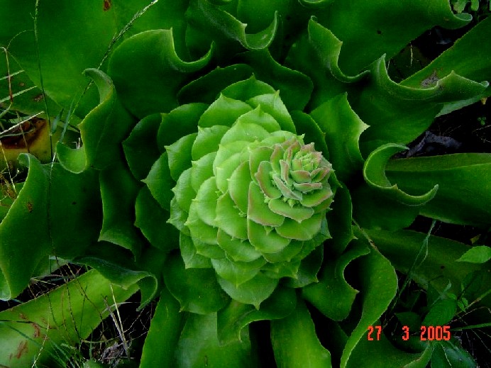 Imagen 3212.jpg