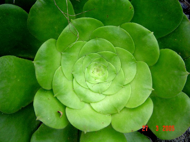 Imagen 3266.jpg