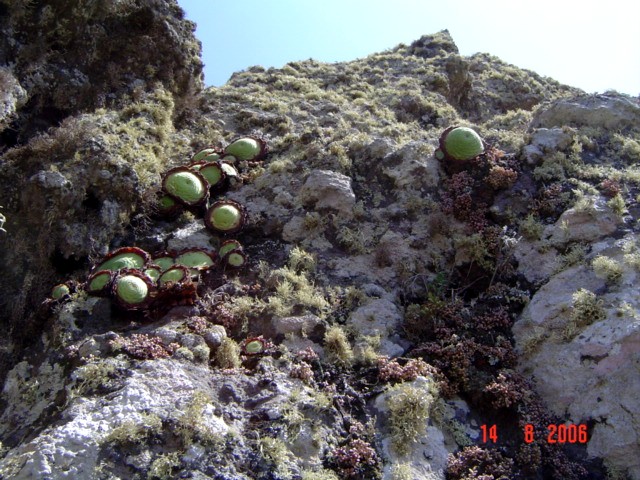 Imagen 637.jpg