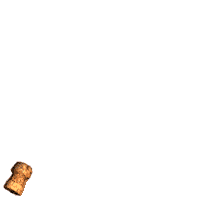 Imagen-animada-Cava-12.gif