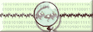 Imagen-animada-Hormiga-32.gif