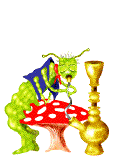 Imagen-animada-Insecto-105.gif
