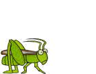Imagen-animada-Saltamontes-12.gif