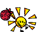 Imagen-animada-Sol-22.gif
