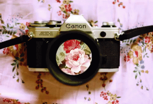 imagen-foto.gif