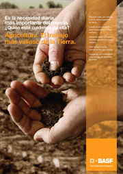 imagen-web.jpg