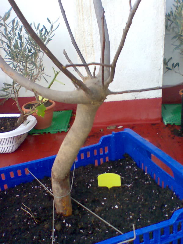 Imagen001.jpg
