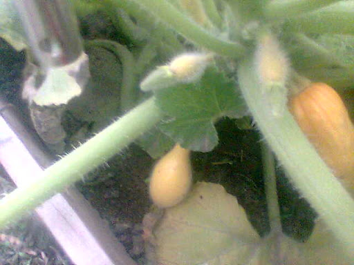Imagen001.jpg
