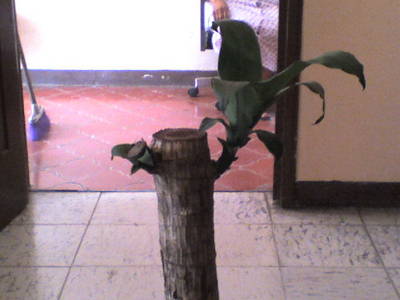 Imagen0015.jpg