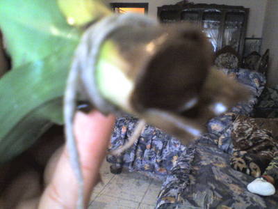 Imagen0018.jpg