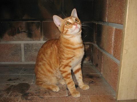 Imagen001_2.JPG