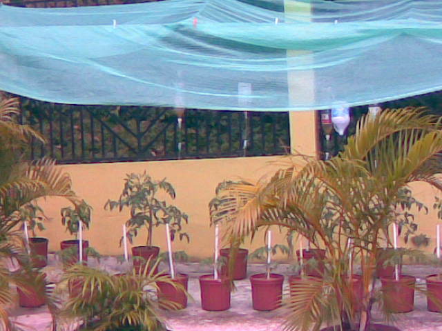 Imagen002.jpg