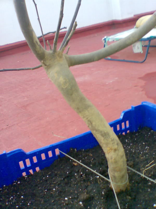 Imagen002.jpg