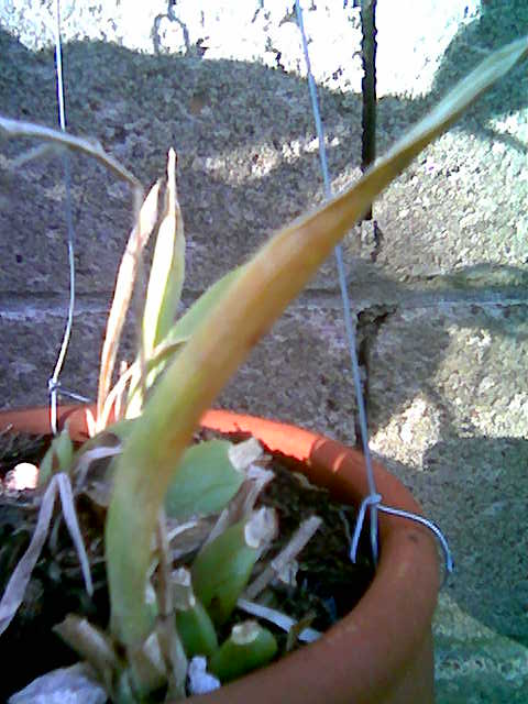 Imagen002.jpg