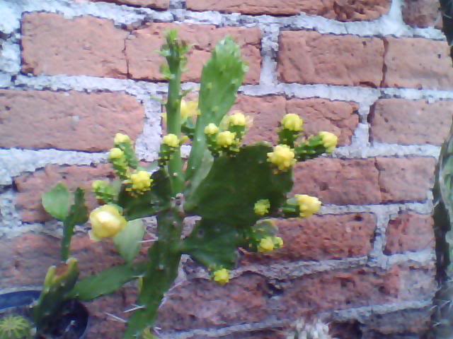 Imagen003.jpg