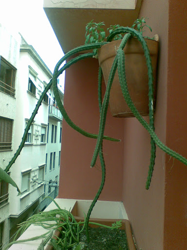 Imagen003.jpg