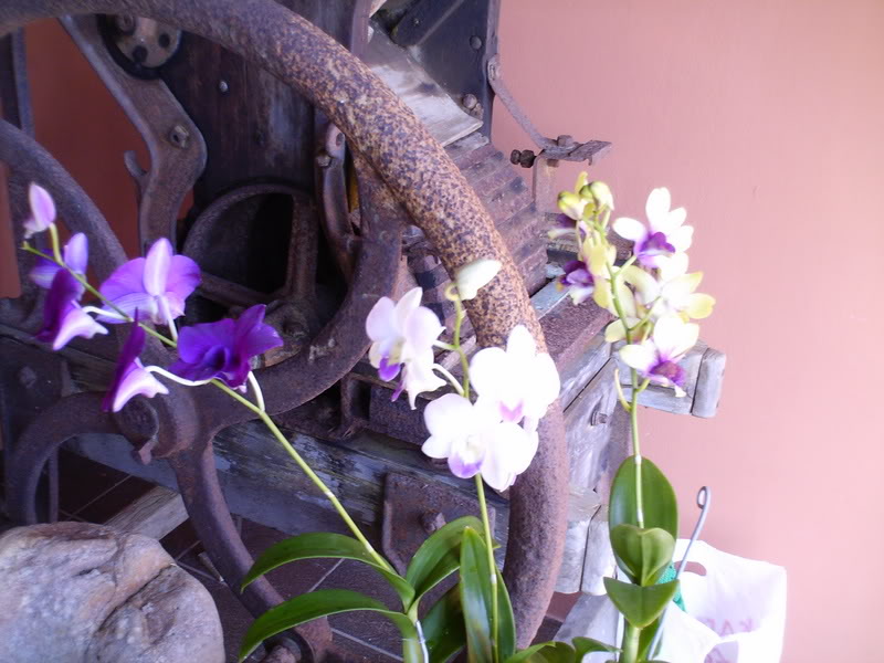 Imagen004.jpg
