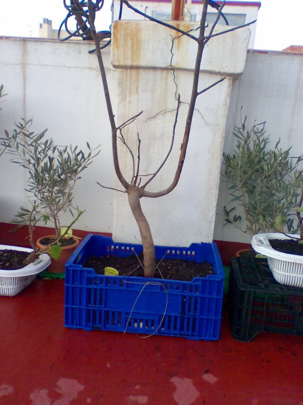 Imagen006.jpg