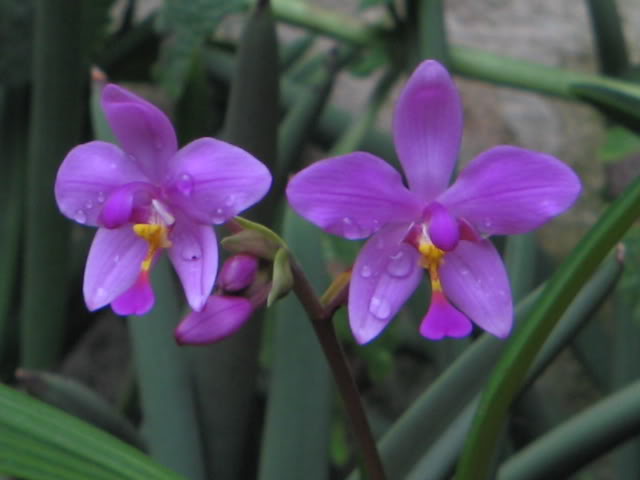Imagen006.jpg