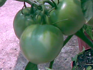 Imagen008.jpg