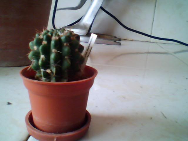Imagen008.jpg