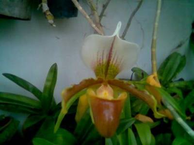 Imagen008.jpg