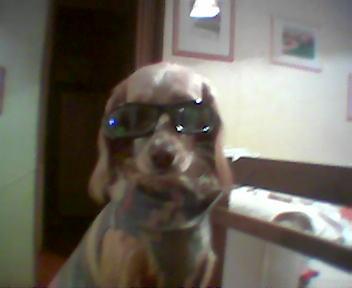 Imagen008 vinka y sus nuevos lentes.JPG