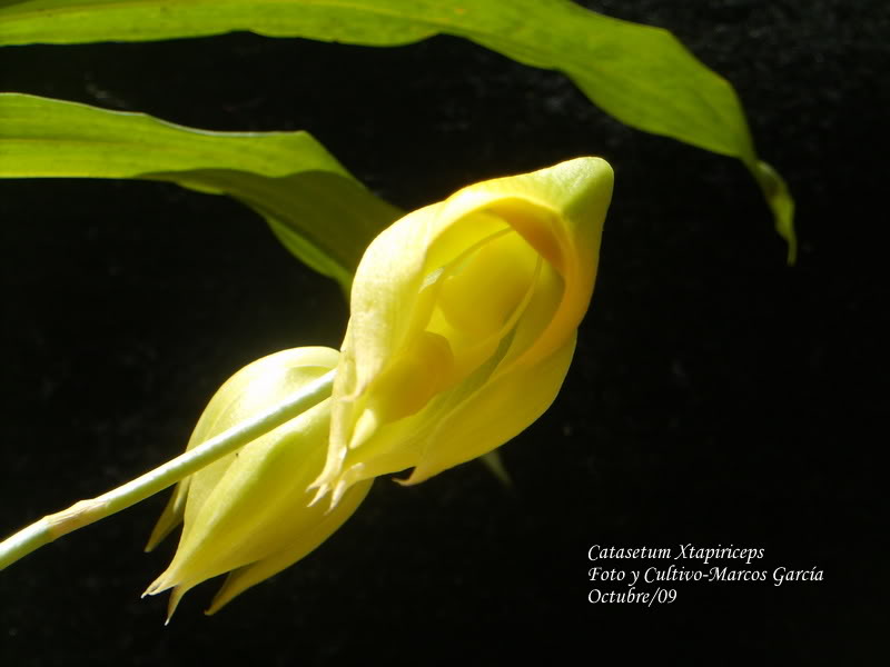Imagen008123.jpg