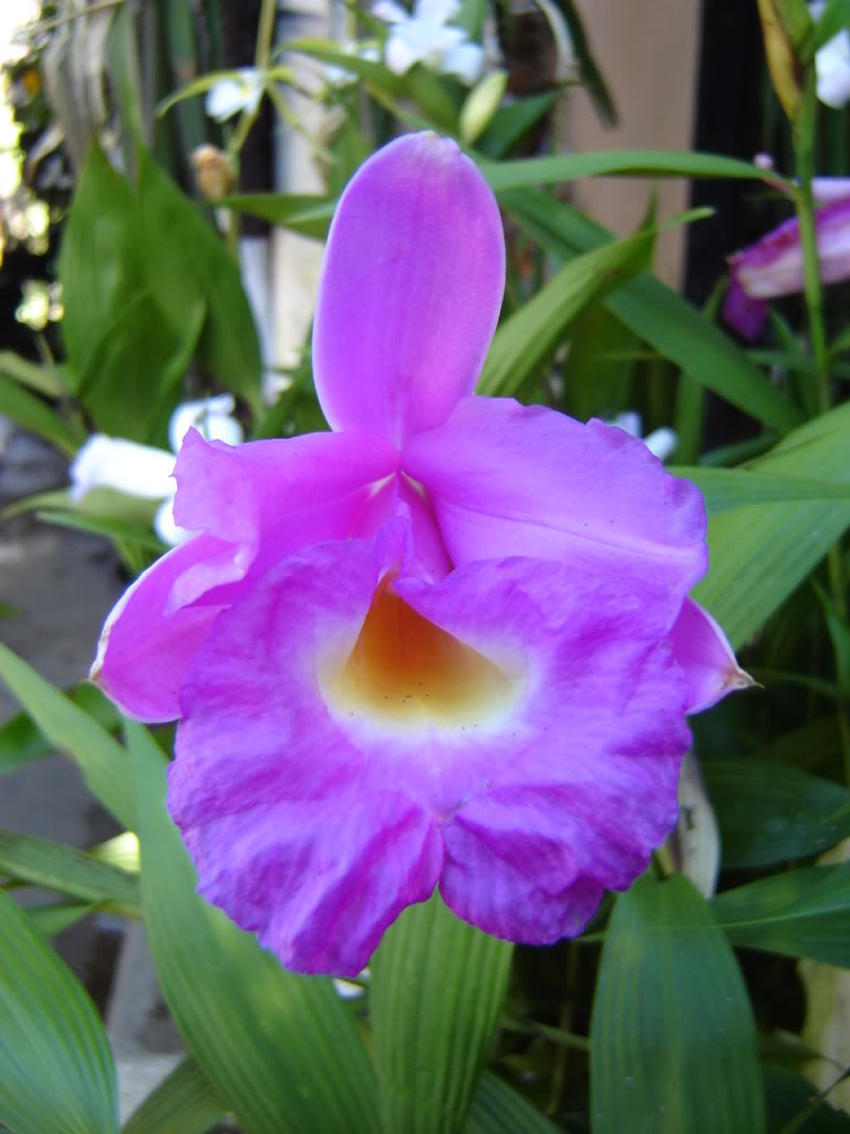 Imagen009.jpg