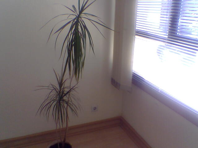 Imagen010.jpg