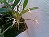 Imagen011.jpg